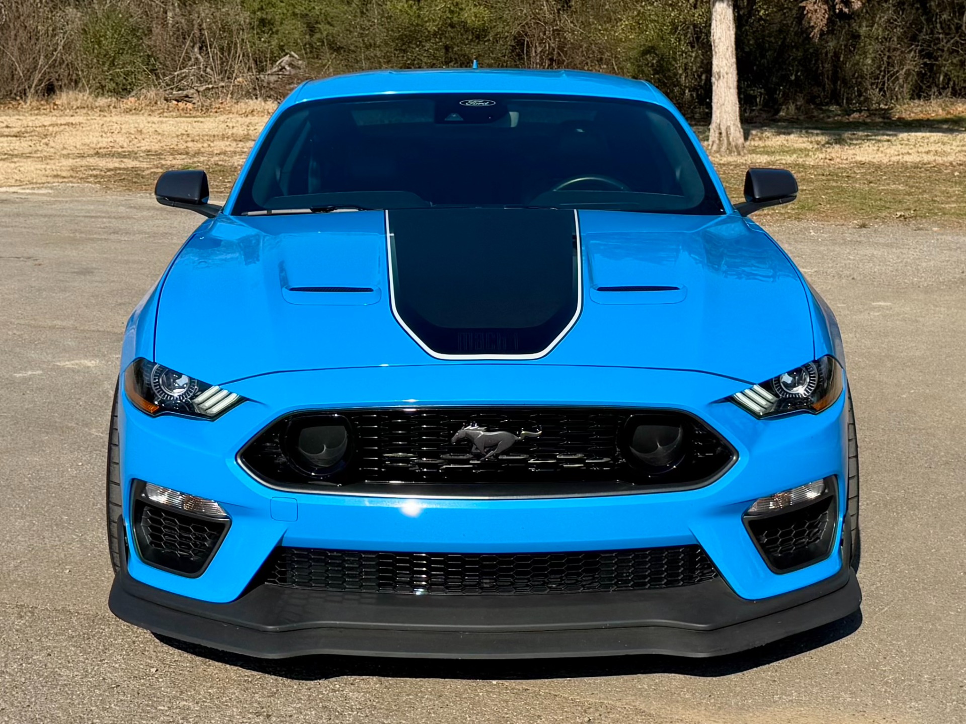 2022 Ford Mustang Mach 1 photo 6