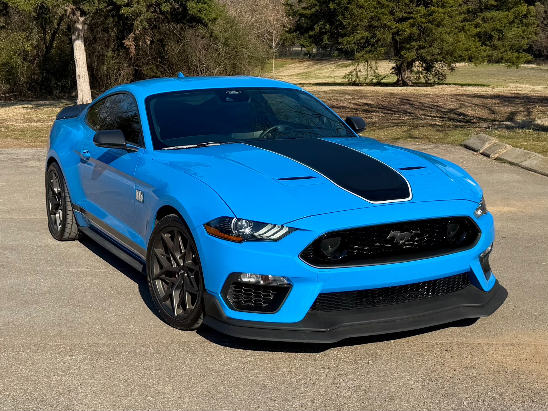 2022 Ford Mustang Mach 1 photo 1