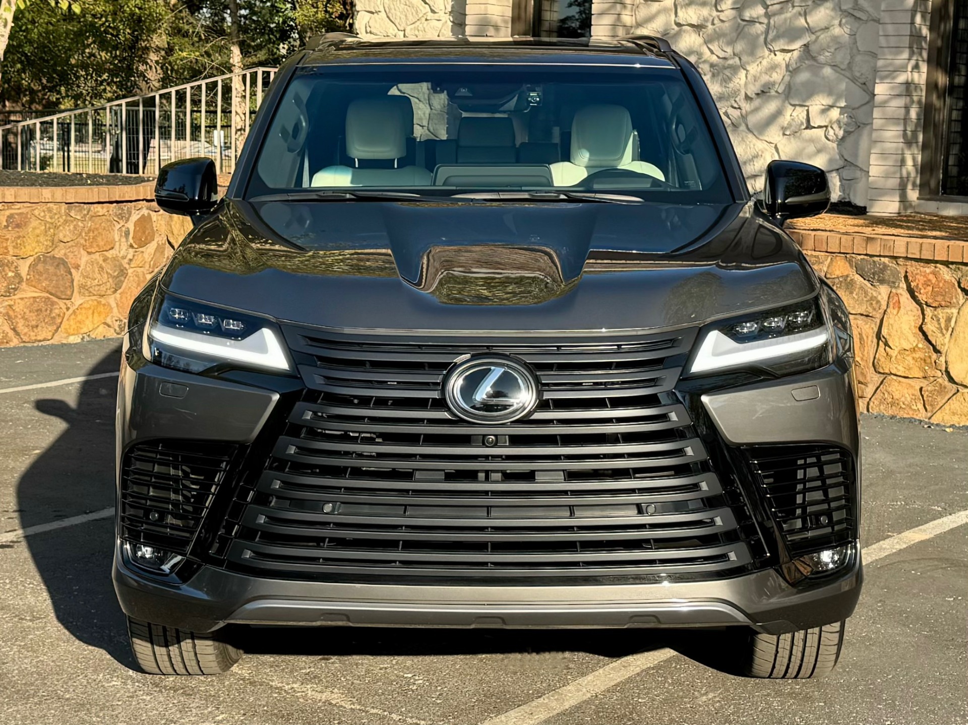 2023 Lexus LX Luxury photo 6