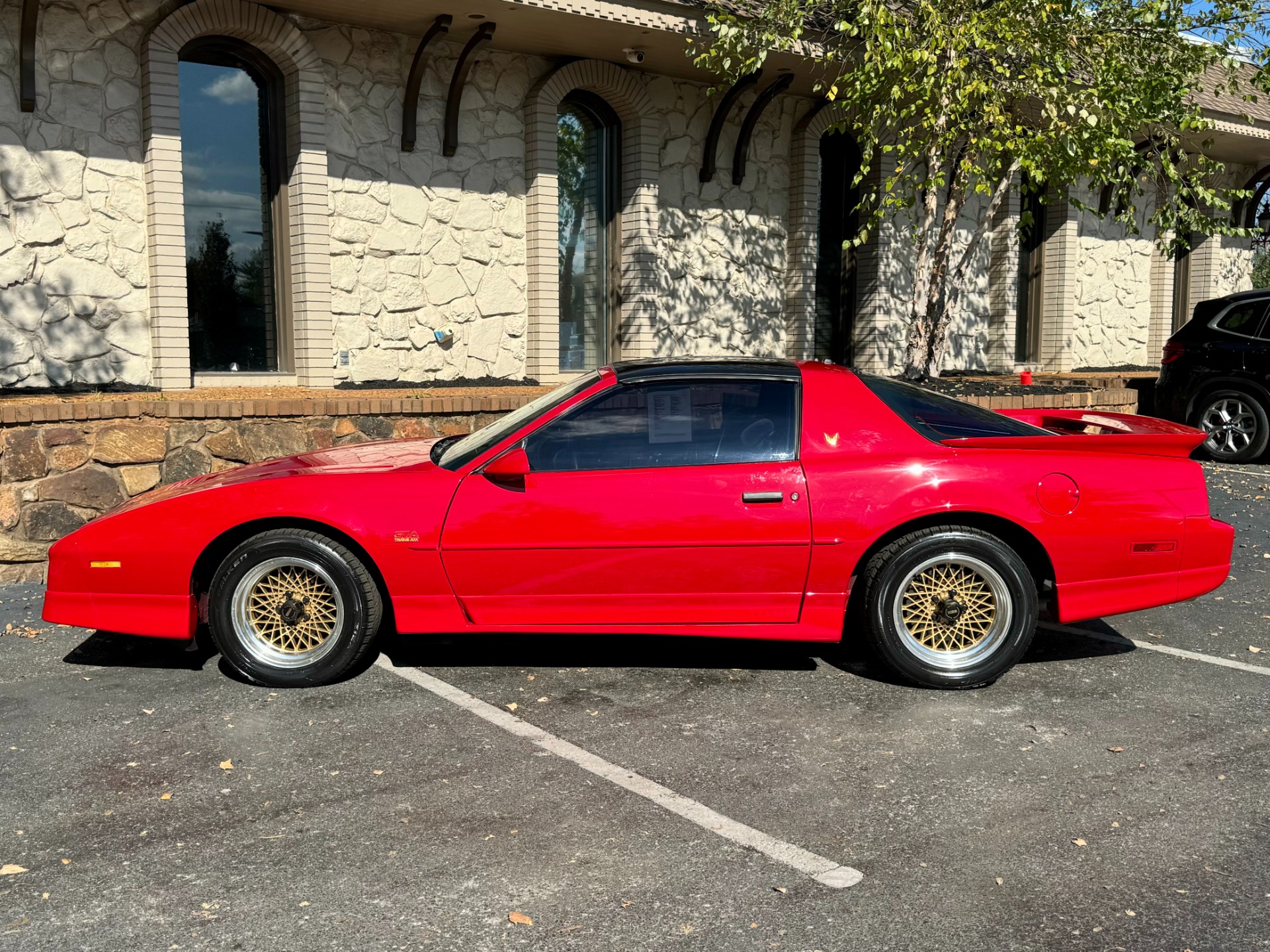 1989 Pontiac Firebird null photo 9