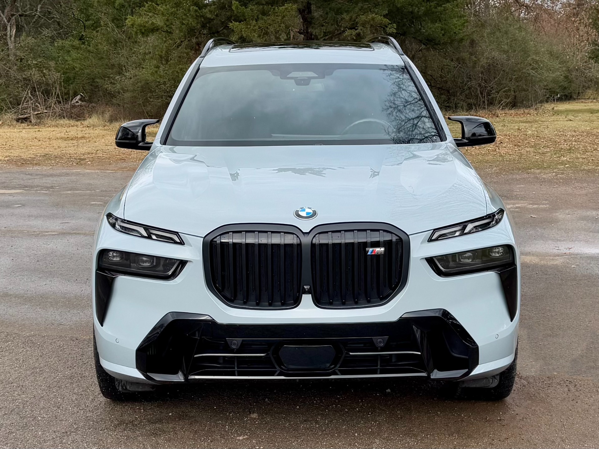 2023 BMW X7 M60i photo 6